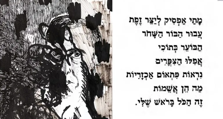 כתבות בעברית